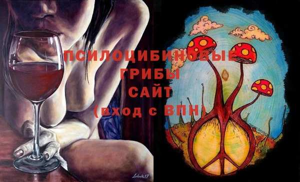 a pvp Алзамай