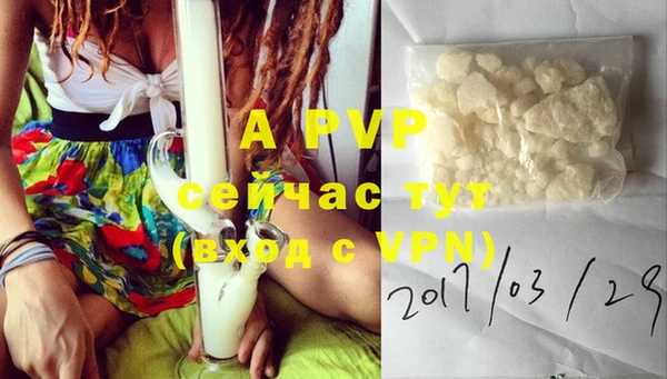 a pvp Алзамай