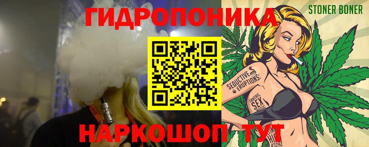 Конопля гибрид Йошкар-Ола